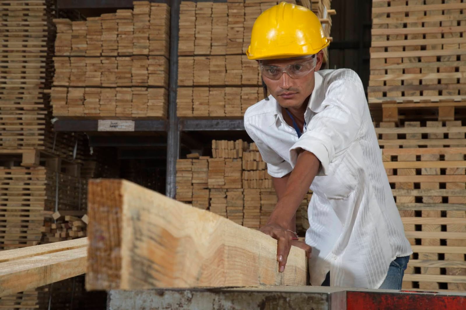 Shiv Trading Company - About Us